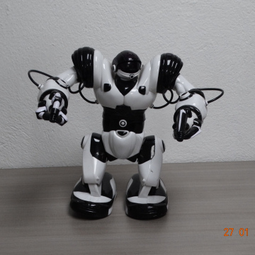 Robot (Usado)